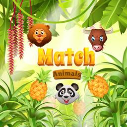  Match Animals